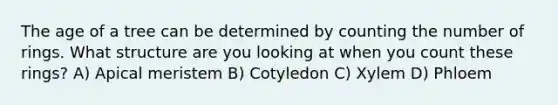 The age of a tree can be determined by counting the number of rings. What structure are you looking at when you count these rings? A) Apical meristem B) Cotyledon C) Xylem D) Phloem