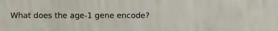 What does the age-1 gene encode?