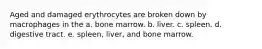 Aged and damaged erythrocytes are broken down by macrophages in the a. bone marrow. b. liver. c. spleen. d. digestive tract. e. spleen, liver, and bone marrow.