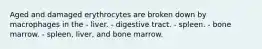 Aged and damaged erythrocytes are broken down by macrophages in the - liver. - digestive tract. - spleen. - bone marrow. - spleen, liver, and bone marrow.