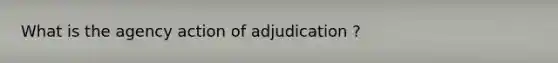 What is the agency action of adjudication ?