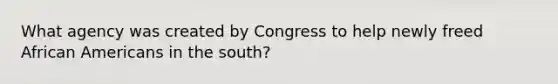 What agency was created by Congress to help newly freed African Americans in the south?