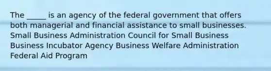 The _____ is an agency of the federal government that offers both managerial and financial assistance to small businesses. Small Business Administration Council for Small Business Business Incubator Agency Business Welfare Administration Federal Aid Program