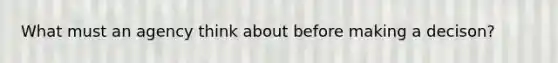What must an agency think about before making a decison?