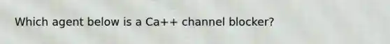 Which agent below is a Ca++ channel blocker?