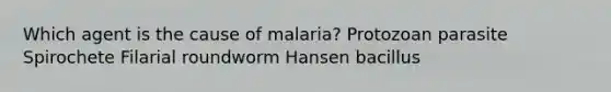 Which agent is the cause of malaria? Protozoan parasite Spirochete Filarial roundworm Hansen bacillus