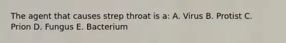 The agent that causes strep throat is a: A. Virus B. Protist C. Prion D. Fungus E. Bacterium