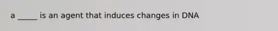 a _____ is an agent that induces changes in DNA