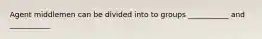 Agent middlemen can be divided into to groups ___________ and ___________