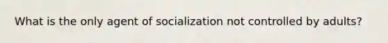 What is the only agent of socialization not controlled by adults?