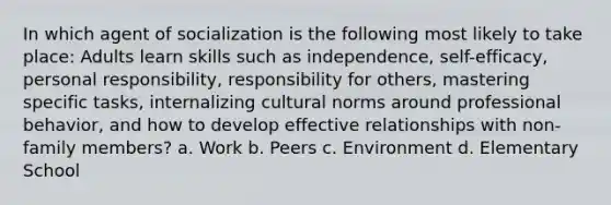 In which agent of socialization is the following most likely to take place: Adults learn skills such as independence, self-efficacy, personal responsibility, responsibility for others, mastering specific tasks, internalizing cultural norms around professional behavior, and how to develop effective relationships with non-family members? a. Work b. Peers c. Environment d. Elementary School