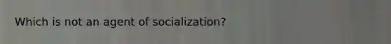 Which is not an agent of socialization?