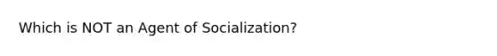 Which is NOT an Agent of Socialization?