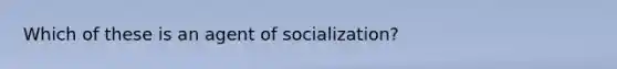 Which of these is an agent of socialization?