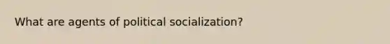 What are agents of <a href='https://www.questionai.com/knowledge/kcddeKilOR-political-socialization' class='anchor-knowledge'>political socialization</a>?