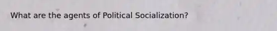 What are the agents of Political Socialization?