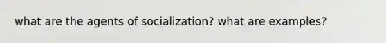 what are the agents of socialization? what are examples?