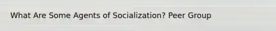 What Are Some Agents of Socialization? Peer Group