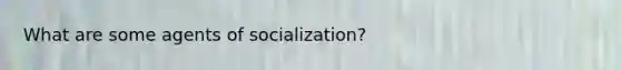 What are some agents of socialization?