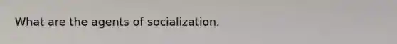 What are the agents of socialization.