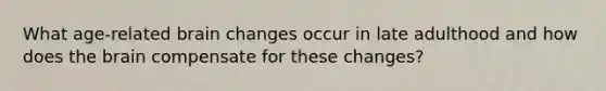 What age-related brain changes occur in late adulthood and how does the brain compensate for these changes?