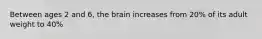 Between ages 2 and 6, the brain increases from 20% of its adult weight to 40%