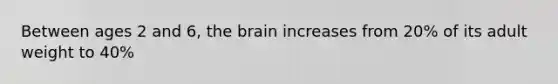 Between ages 2 and 6, the brain increases from 20% of its adult weight to 40%