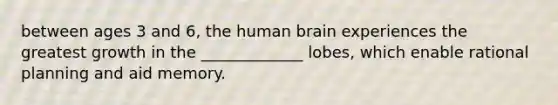 between ages 3 and 6, the human brain experiences the greatest growth in the _____________ lobes, which enable rational planning and aid memory.