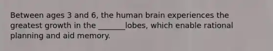 Between ages 3 and 6, the human brain experiences the greatest growth in the _______lobes, which enable rational planning and aid memory.