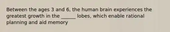 Between the ages 3 and 6, the human brain experiences the greatest growth in the ______ lobes, which enable rational planning and aid memory