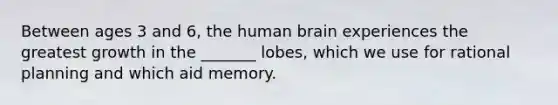 Between ages 3 and 6, the human brain experiences the greatest growth in the _______ lobes, which we use for rational planning and which aid memory.