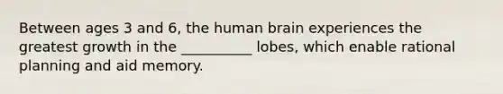 Between ages 3 and 6, the human brain experiences the greatest growth in the __________ lobes, which enable rational planning and aid memory.