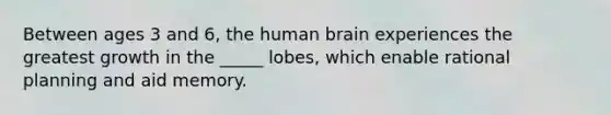 Between ages 3 and 6, the human brain experiences the greatest growth in the _____ lobes, which enable rational planning and aid memory.