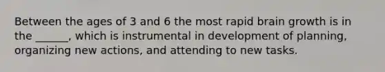 Between the ages of 3 and 6 the most rapid brain growth is in the ______, which is instrumental in development of planning, organizing new actions, and attending to new tasks.