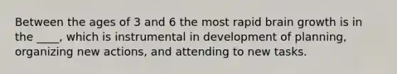 Between the ages of 3 and 6 the most rapid brain growth is in the ____, which is instrumental in development of planning, organizing new actions, and attending to new tasks.