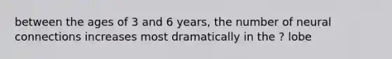 between the ages of 3 and 6 years, the number of neural connections increases most dramatically in the ? lobe