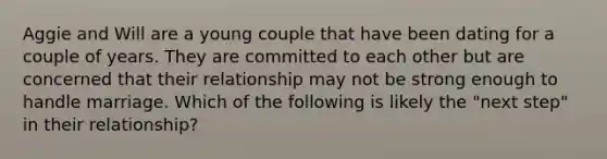 Aggie and Will are a young couple that have been dating for a couple of years. They are committed to each other but are concerned that their relationship may not be strong enough to handle marriage. Which of the following is likely the "next step" in their relationship?