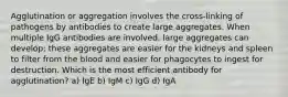 Agglutination or aggregation involves the cross-linking of pathogens by antibodies to create large aggregates. When multiple IgG antibodies are involved, large aggregates can develop; these aggregates are easier for the kidneys and spleen to filter from the blood and easier for phagocytes to ingest for destruction. Which is the most efficient antibody for agglutination? a) IgE b) IgM c) IgG d) IgA