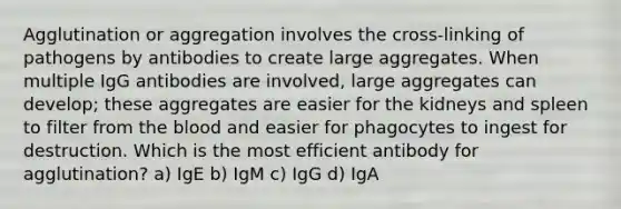 Agglutination or aggregation involves the cross-linking of pathogens by antibodies to create large aggregates. When multiple IgG antibodies are involved, large aggregates can develop; these aggregates are easier for the kidneys and spleen to filter from <a href='https://www.questionai.com/knowledge/k7oXMfj7lk-the-blood' class='anchor-knowledge'>the blood</a> and easier for phagocytes to ingest for destruction. Which is the most efficient antibody for agglutination? a) IgE b) IgM c) IgG d) IgA