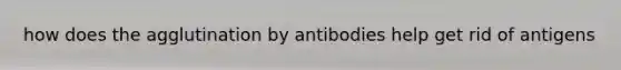 how does the agglutination by antibodies help get rid of antigens