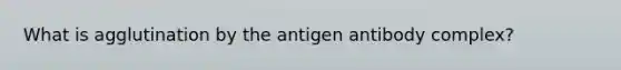 What is agglutination by the antigen antibody complex?