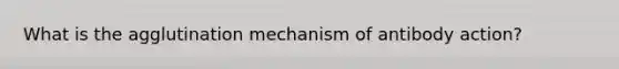 What is the agglutination mechanism of antibody action?