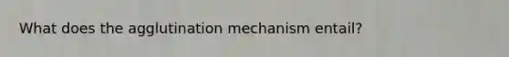 What does the agglutination mechanism entail?