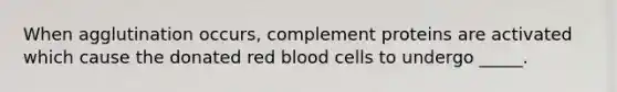 When agglutination occurs, complement proteins are activated which cause the donated red blood cells to undergo _____.