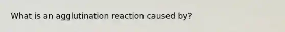 What is an agglutination reaction caused by?