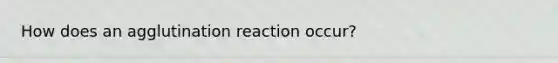 How does an agglutination reaction occur?