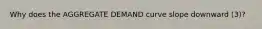 Why does the AGGREGATE DEMAND curve slope downward (3)?