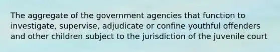 The aggregate of the government agencies that function to investigate, supervise, adjudicate or confine youthful offenders and other children subject to the jurisdiction of the juvenile court