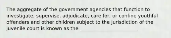 The aggregate of the government agencies that function to investigate, supervise, adjudicate, care for, or confine youthful offenders and other children subject to the jurisdiction of the juvenile court is known as the ________________________