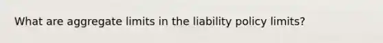 What are aggregate limits in the liability policy limits?